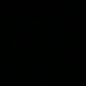 Meet your Posher, Jayla